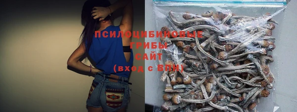 спиды Алексин