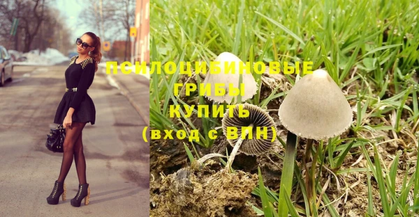 спиды Алексин
