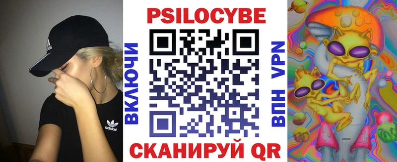 Псилоцибиновые грибы GOLDEN TEACHER  площадка наркотические препараты  Вологда 